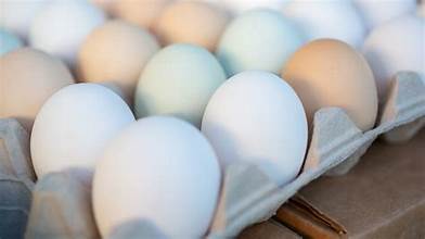 FRESH FARM EGGS